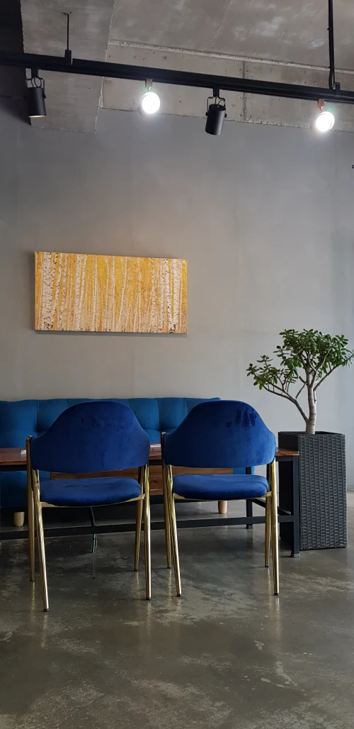 250,000원 이용권